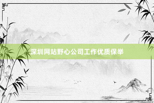 深圳网站野心公司工作优质保举