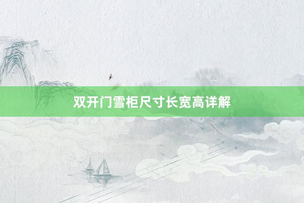 双开门雪柜尺寸长宽高详解
